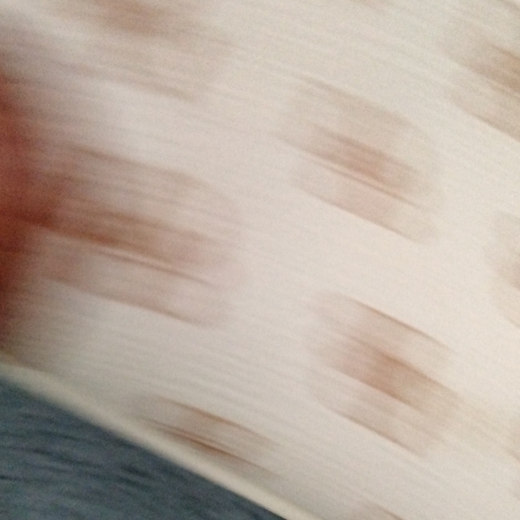 Dooney & Bourke Cream and Brown Crossbody Bag - Picture 8 of 9